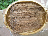 Find Florida Long Leaf Pine Needles at my online studio